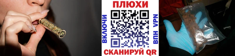 Гашиш индика сатива  наркотики  Циолковский 