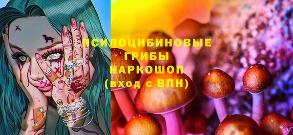 не бодяженный Арсеньев