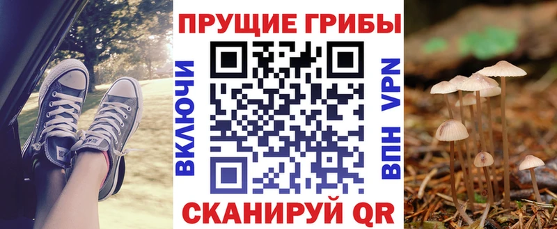 Галлюциногенные грибы прущие грибы  закладка  Циолковский 